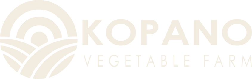 Logo Designer Vanderbijlpark